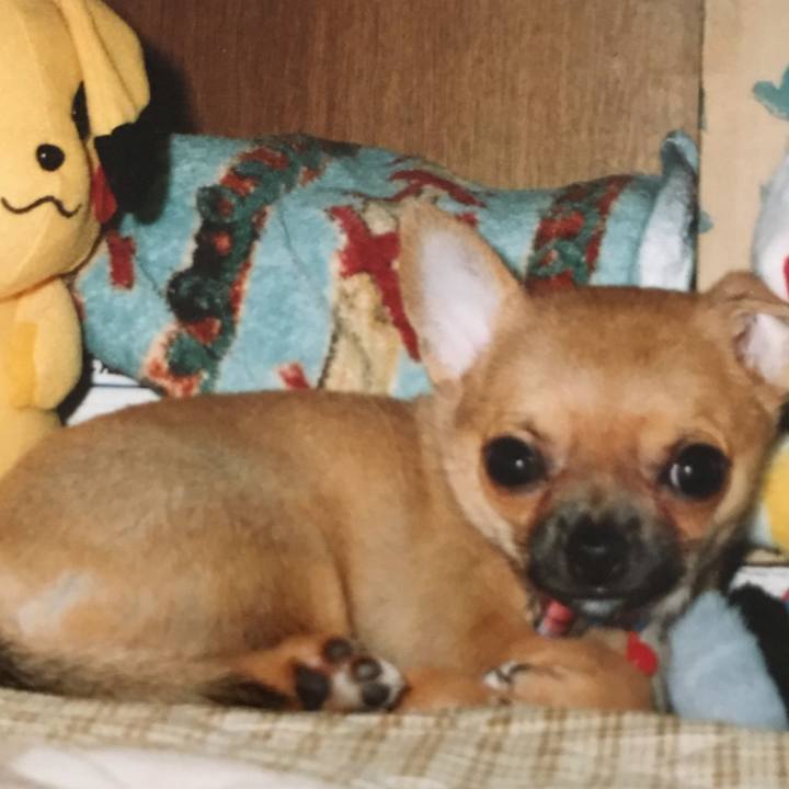 6f75d341 082f 42de 834f 16514c8e2457 1600481747896