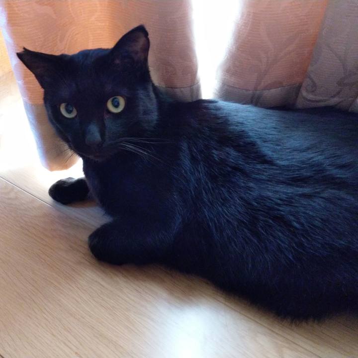 6f75db16 76ed 46b5 989e 31df5de830ca 1582471764201