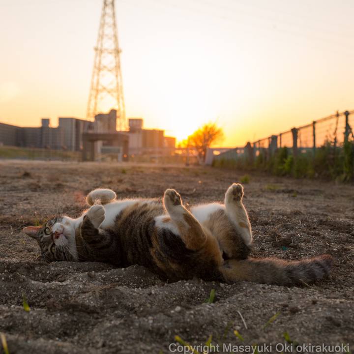 6f75fc62 37f8 408a 8bc0 3918e1e94bfc 1584865192506