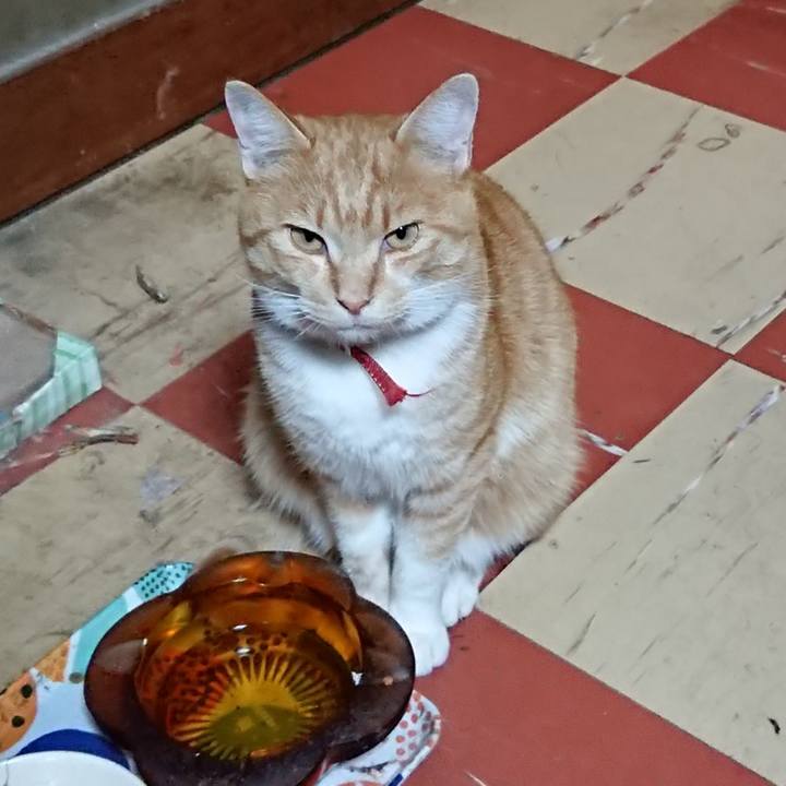 6f76307e b545 4863 82df 802eaf52c5dc 1573296413027