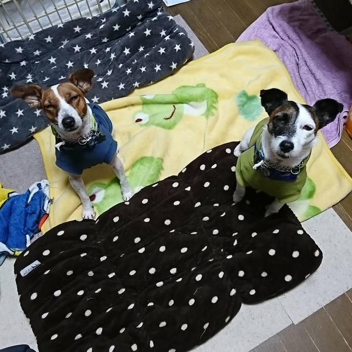 6f76a669 7e80 4daa 970d 836533c0544f 1575043048728