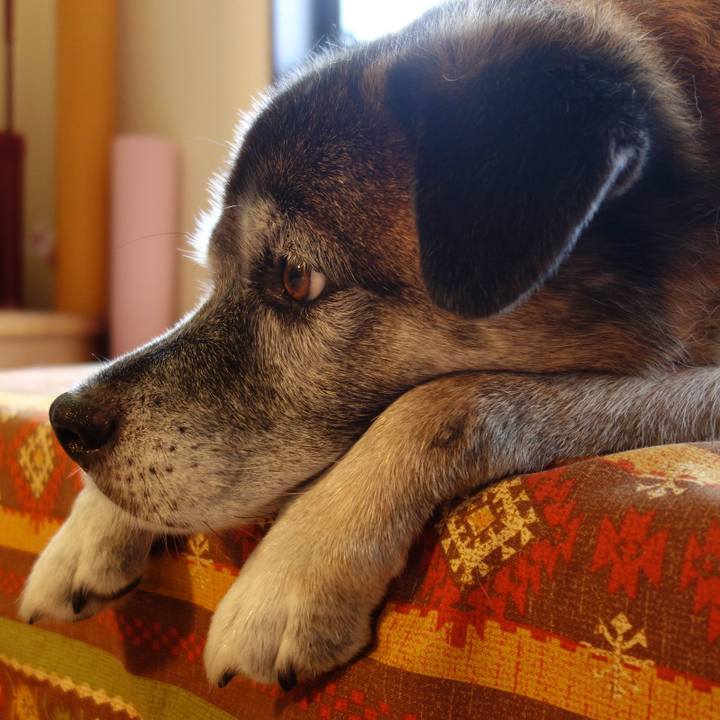 6f76cd0b 4434 4aad bac5 97d83325abb8 1643592131291