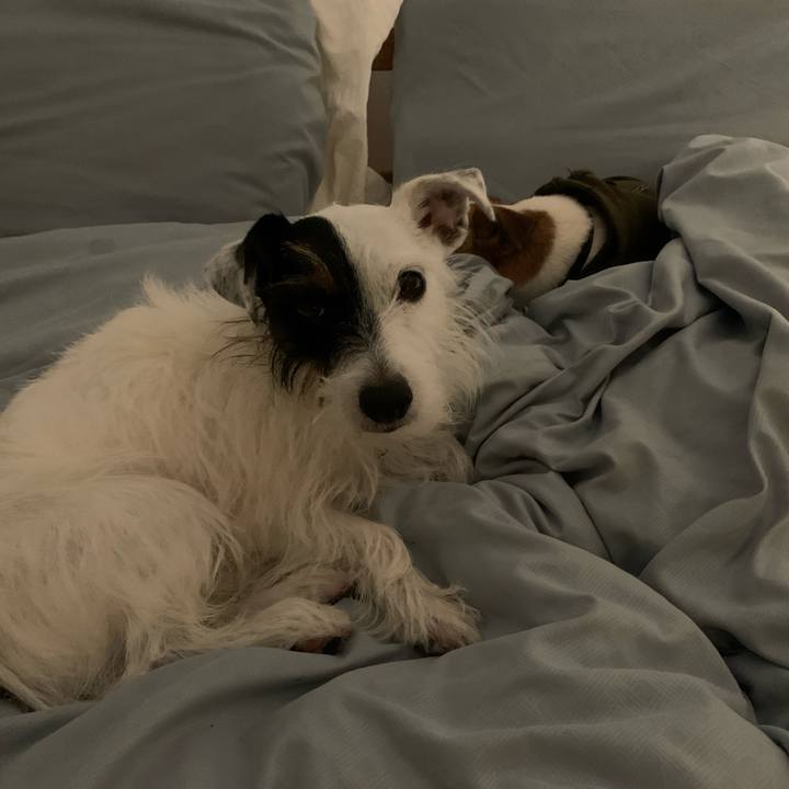 6f76cef9 9f3e 464b a1f9 b931f32c2bd9 1573130300562