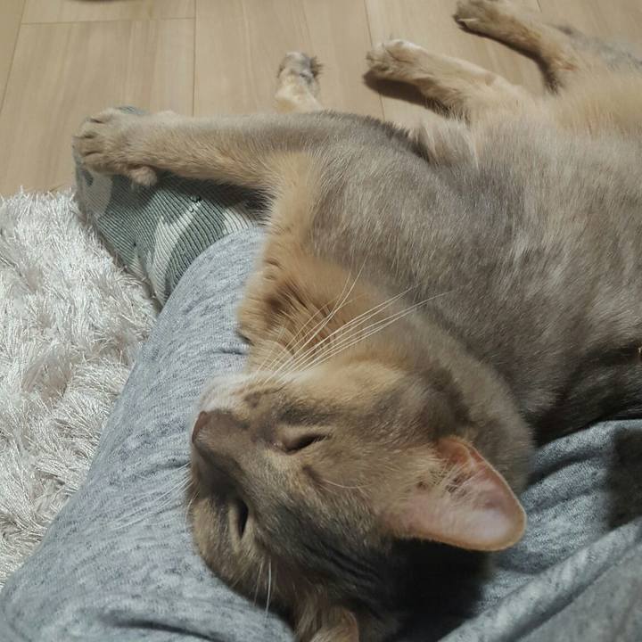 6f76d604 3ac6 4894 b476 cf01e0b3dcbc 1543230321109