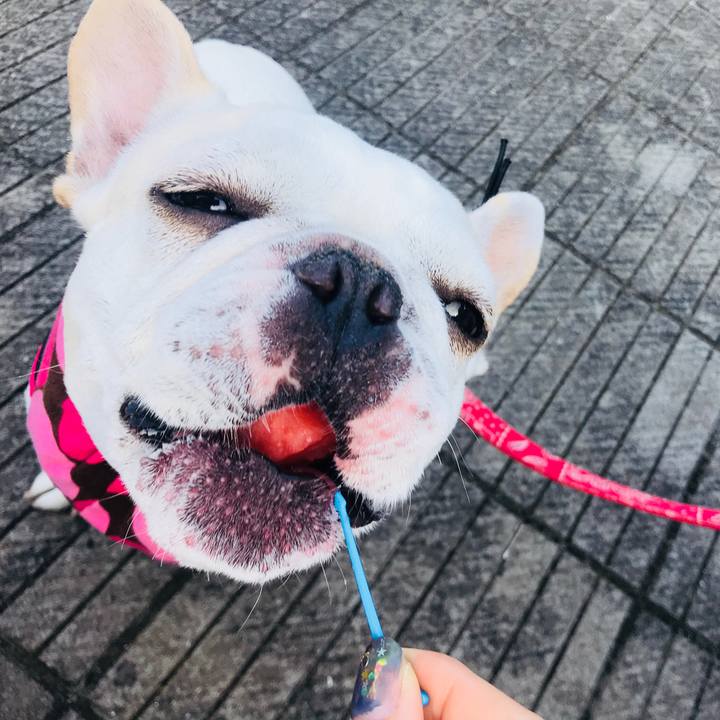 6f76f2e2 6d4a 4993 9d4a 5904c85dc6a6 1528169003377