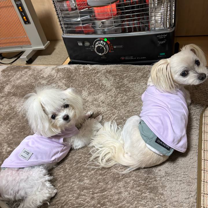 6f772c81 d476 4e08 9be2 9f728c2fdfdc 1762335946694