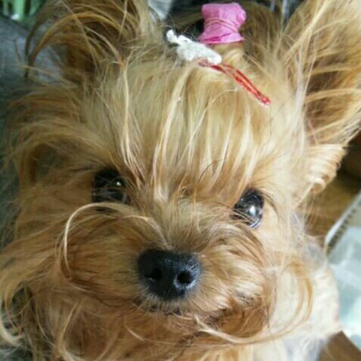 6f77856b caa6 460e 8204 f828e54eaa6e 1539385793424