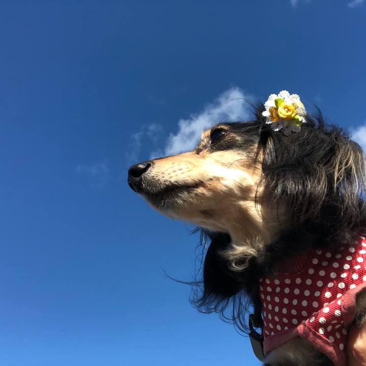 6f7786a5 aa87 4904 b3d6 280934290ad8 1551917784368