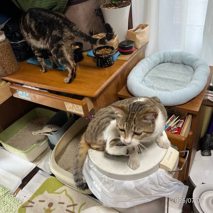 6f778eea 1f5b 4604 9004 d954b4e49d11 1751839862524