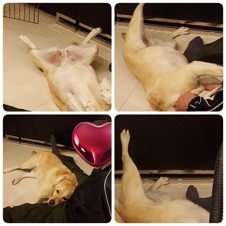 6f779957 7831 47e9 bd89 e47c99277d50 1546431510100