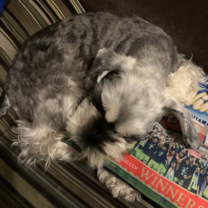 6f77ea87 ffbe 4e6b ab21 bc9c5d4a454e 1603377578763