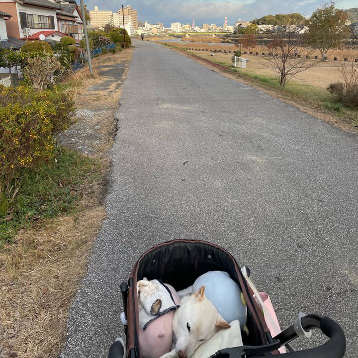 6f77fd95 cc05 429d bf74 e248b09d43e3 1673854929224