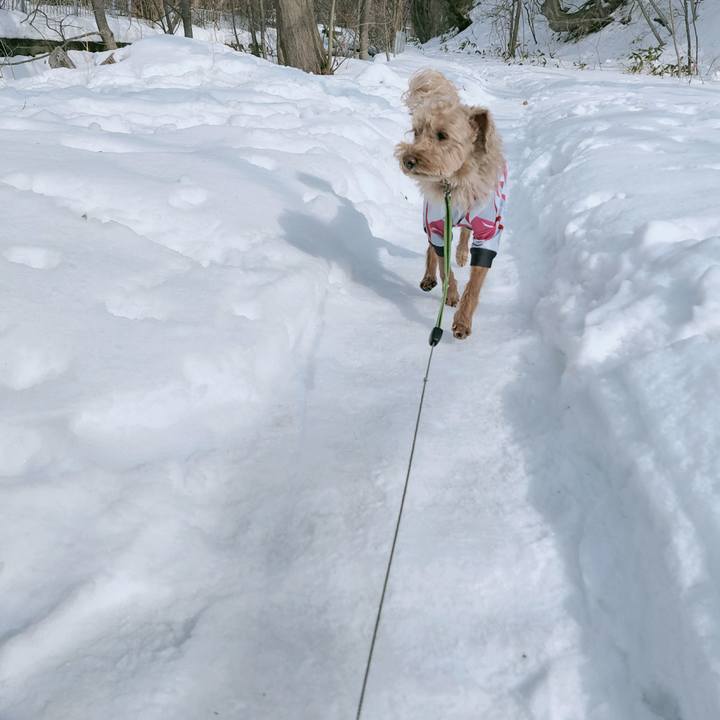 6f781372 ce64 45e0 b9df 66f3bd669121 1613872613951