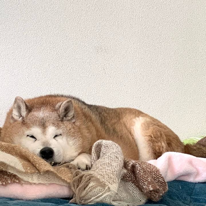 6f782a81 ea5d 4648 b2d8 fff14893279e 1646831453615