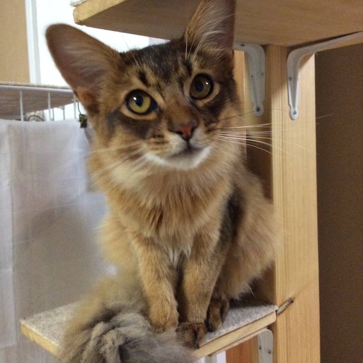 6f78374e 5476 4959 a8bd cda145ca1f96 1589002653046