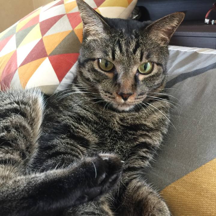 6f78435d 5d5a 4e45 9125 cf89a870d21d 1725882438715