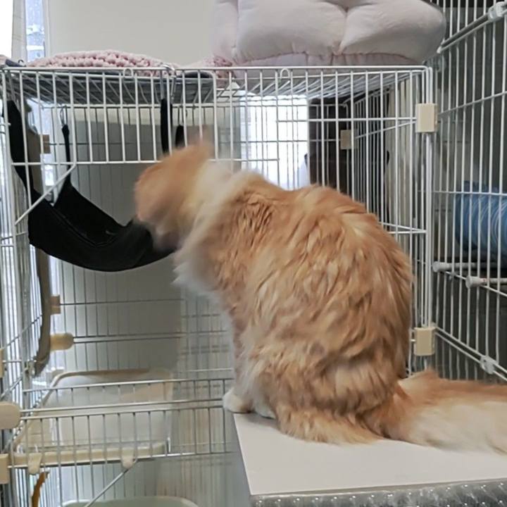 6f78647f 1c35 4230 a0a4 648532ac6ad3 1685398925423