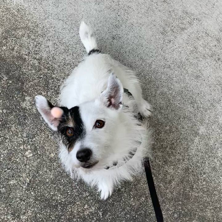 6f7877d0 986a 42a9 b470 fe81a177f6c0 1751843528174