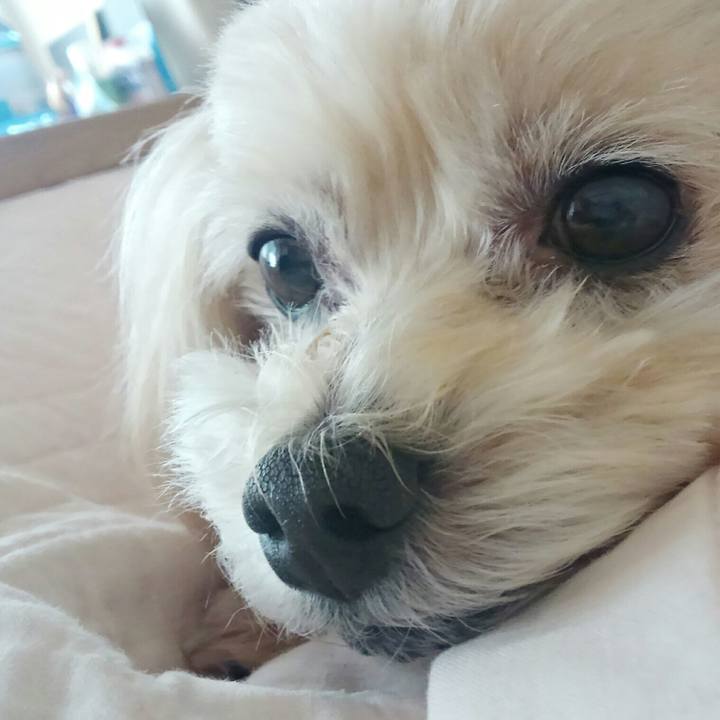 6f78a5da 8744 40a5 80e6 a427bb7300f7 1518230065446