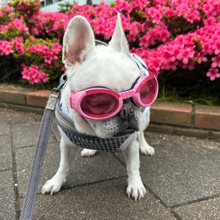 6f78aff5 7d4f 4e31 95de cc1b92914a61 1748341809404