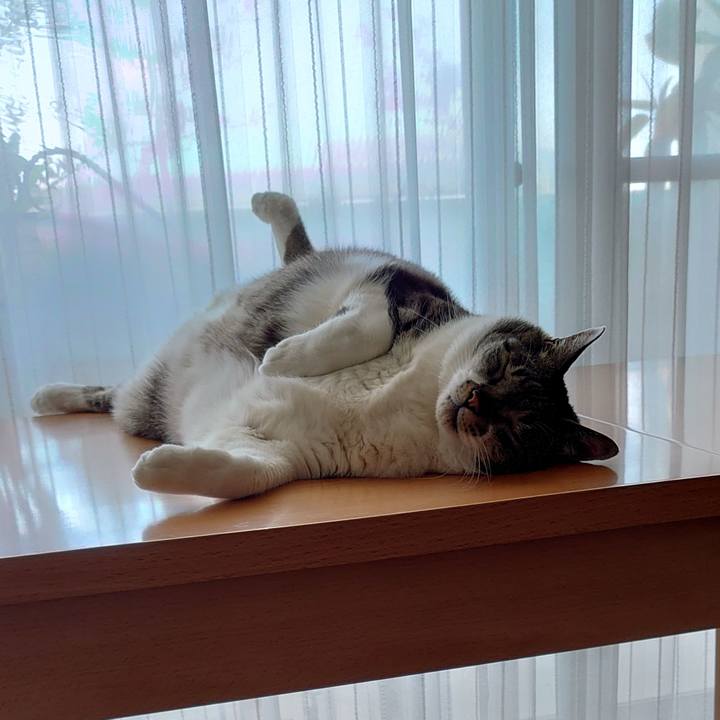 6f78b5a1 c0b4 44ae af8f b2ccfcb1c775 1653362840682