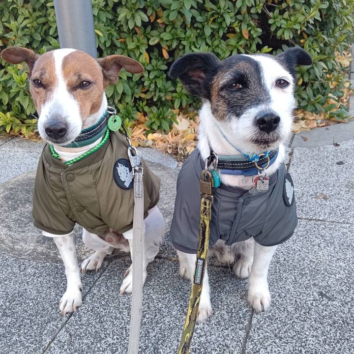 6f78be4e b41d 40fd 9e39 47ccee46b383 1704842548624