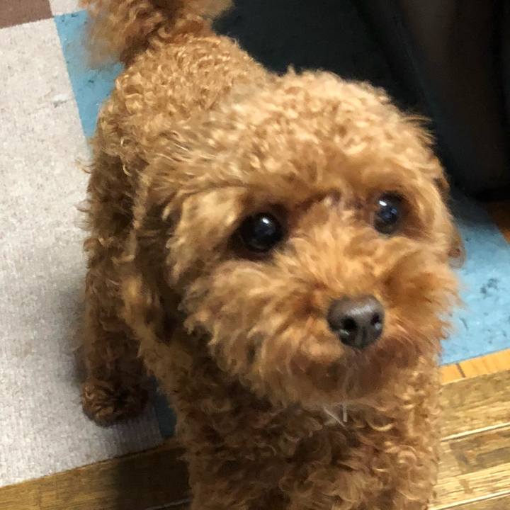 6f78c14c 6cc9 42d3 b6f8 d29a463a85cb 1529749325689