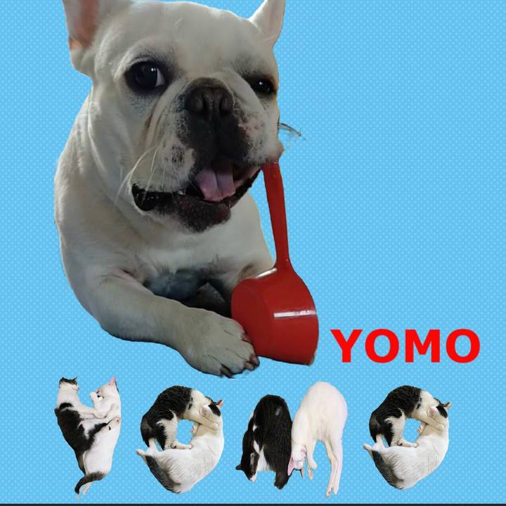 6f78ce48 5826 4c20 89d5 665271f39448 1667515045384