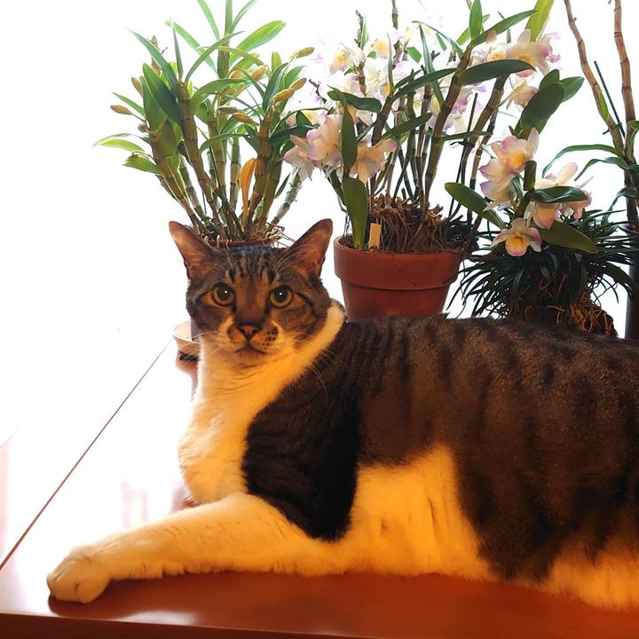 6f792c4b aded 4ff2 bbbf f86d5193b9db 1673656694703