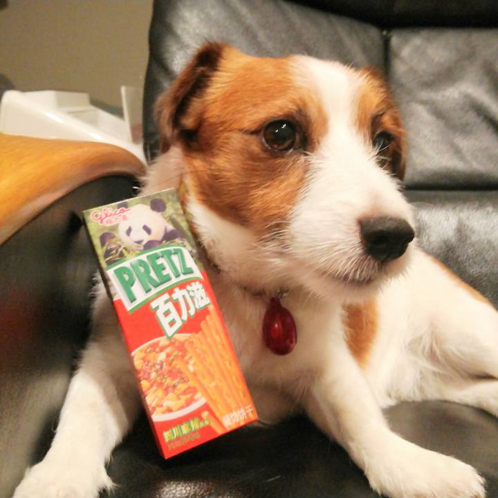 6f796543 277e 422b abff 185779af920f 1530048656013