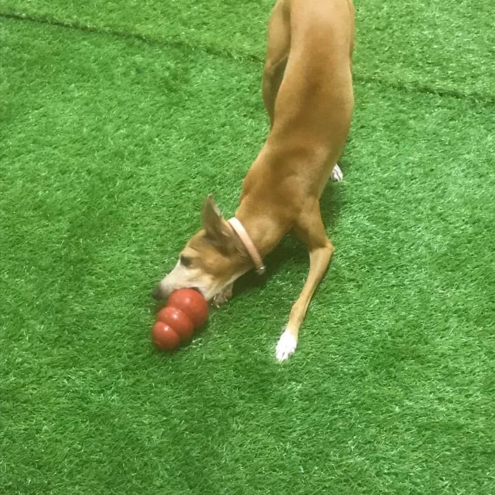 6f796daa 1213 45b8 be79 47119e07dc4e 1537684376447