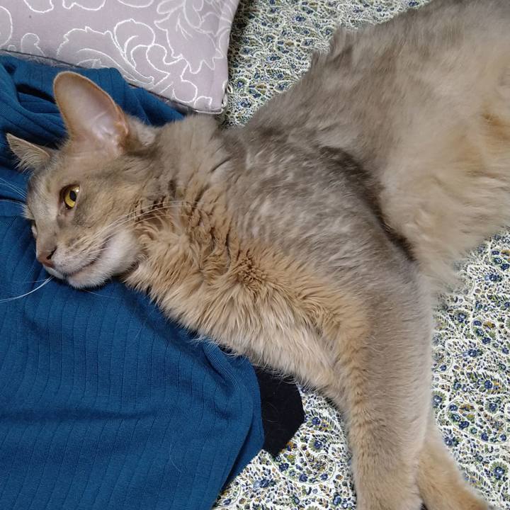 6f798b3d 57d4 47d2 a615 a971ddaec96c 1620647196687