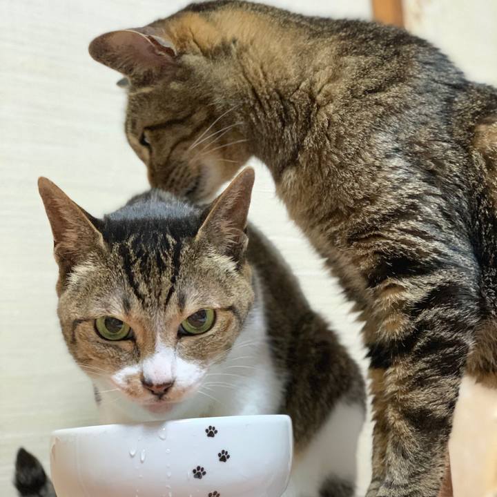 6f79bbc7 fe88 4673 a58e 63e1c5ad7f64 1592096864717