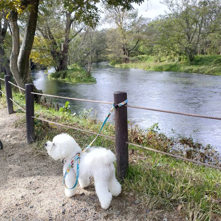 6f79c27a e605 41c6 afca afa897d7b788 1763079138748