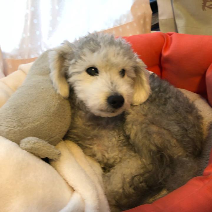 6f79cce7 a3d7 4a20 a008 9be16d0049d7 1601515296447