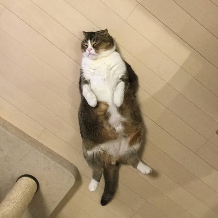 6f79eedf 9606 432b 89fa 482c814f03a4 1547075112156