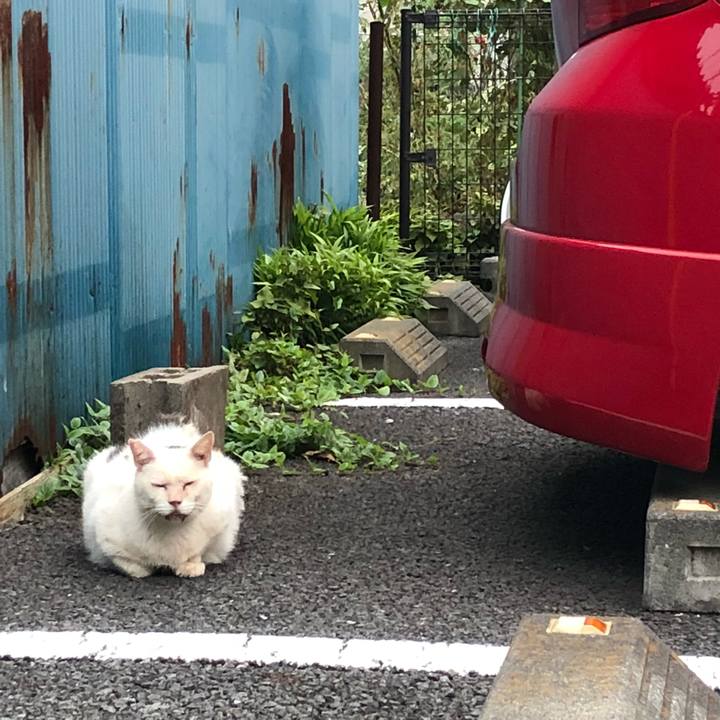 6f7a05de 6879 41f0 ae63 515e2b7ec89a 1536838314011