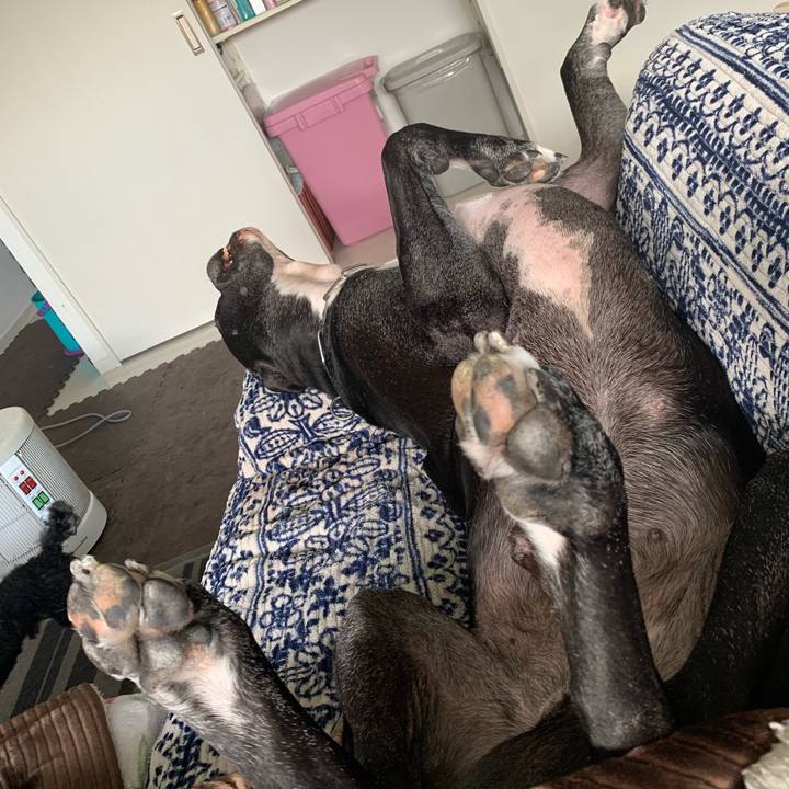 6f7a1314 2407 4ca6 94bf 0932f02bc8fe 1548388942434