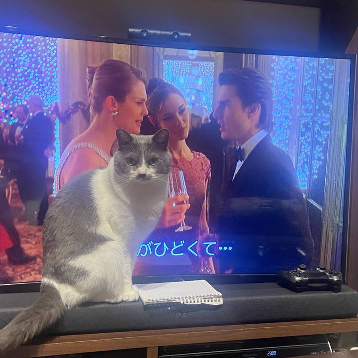 6f7a2e8e df54 40b5 a28f 1b083f66987b 1677593543245