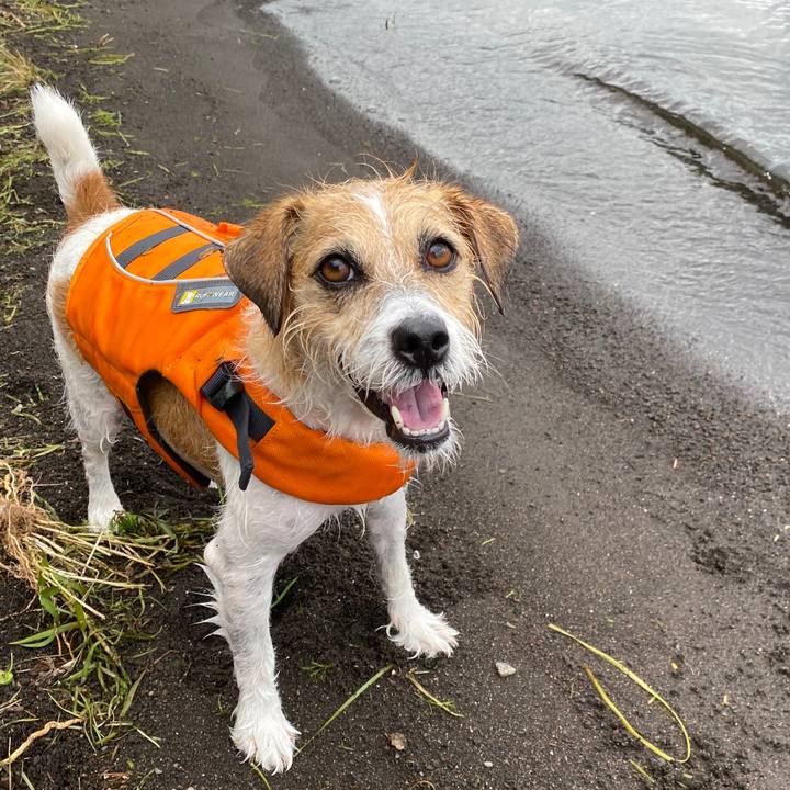 6f7a6b83 4353 47cc 906c 1f863e6db9fd 1602594924300