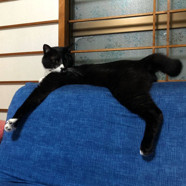 6f7ae337 d802 4f8d 927f f2ce0b438291 1658807178424