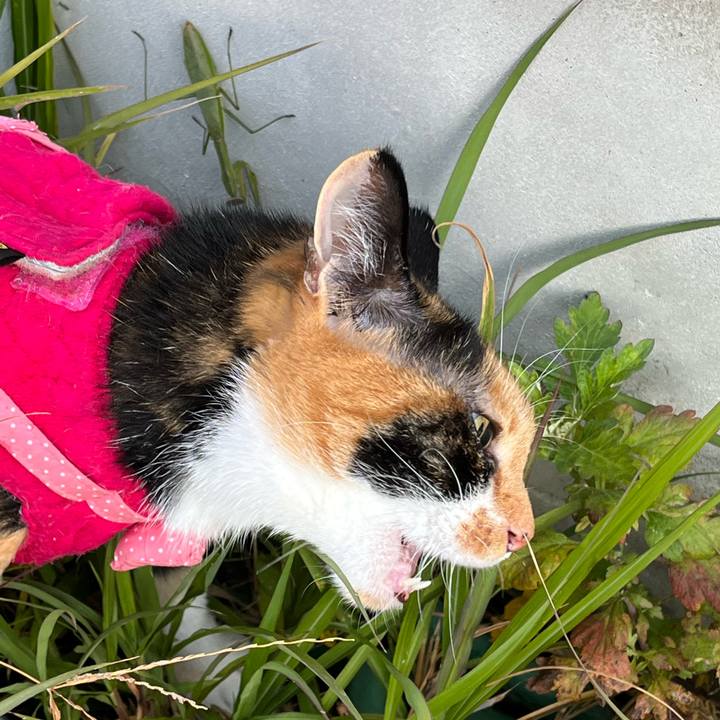 6f7b04df de65 4cef 962c b67df6f0956b 1666949285311