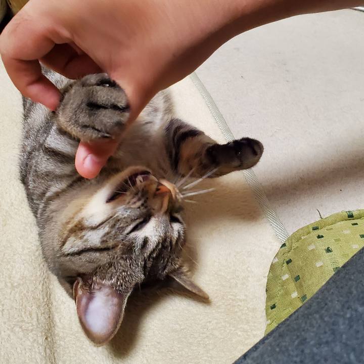 6f7b18af 1011 4496 9f27 d56c0b113b4d 1696942672070