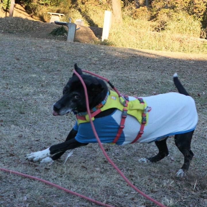 6f7b1c0f b5f5 4e6c af1d 755f40f8c3ac 1769213999863