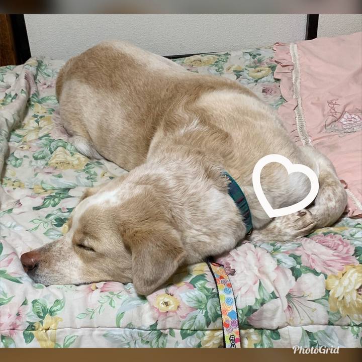 6f7b8f18 3e09 465c a763 a1bf501c94dd 1556550196873