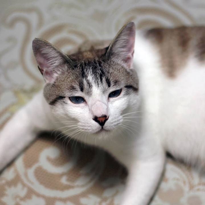 6f7c0015 92f1 47fb 9985 8e93ca8396e9 1640561973518