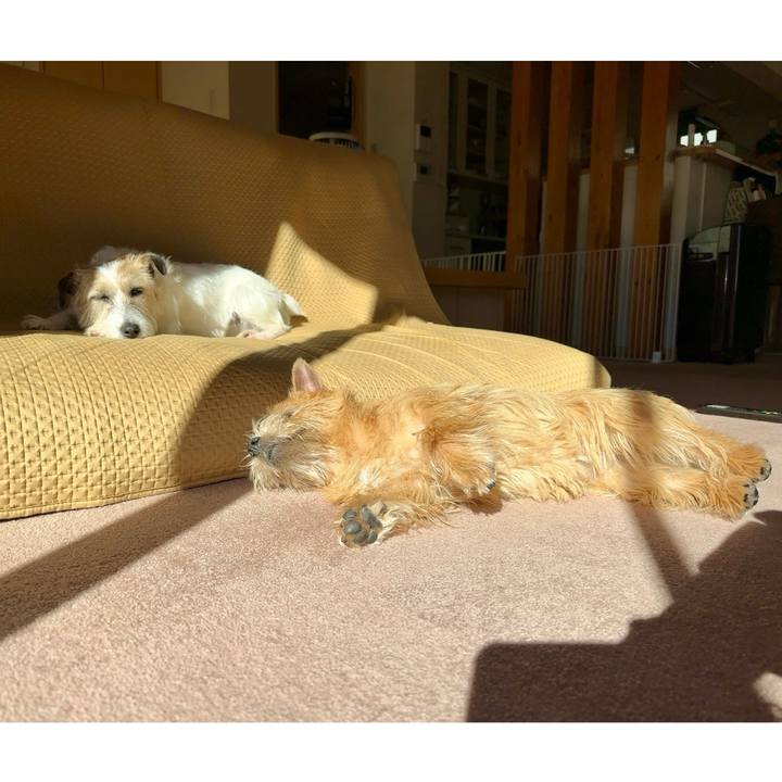 6f7c0ccc cecc 4460 9fae 6495062a150b 1737194620983