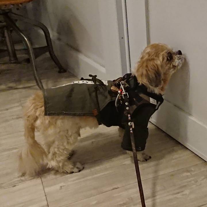 6f7c0d04 701c 4a64 a1a7 18a34277aae6 1521294885967