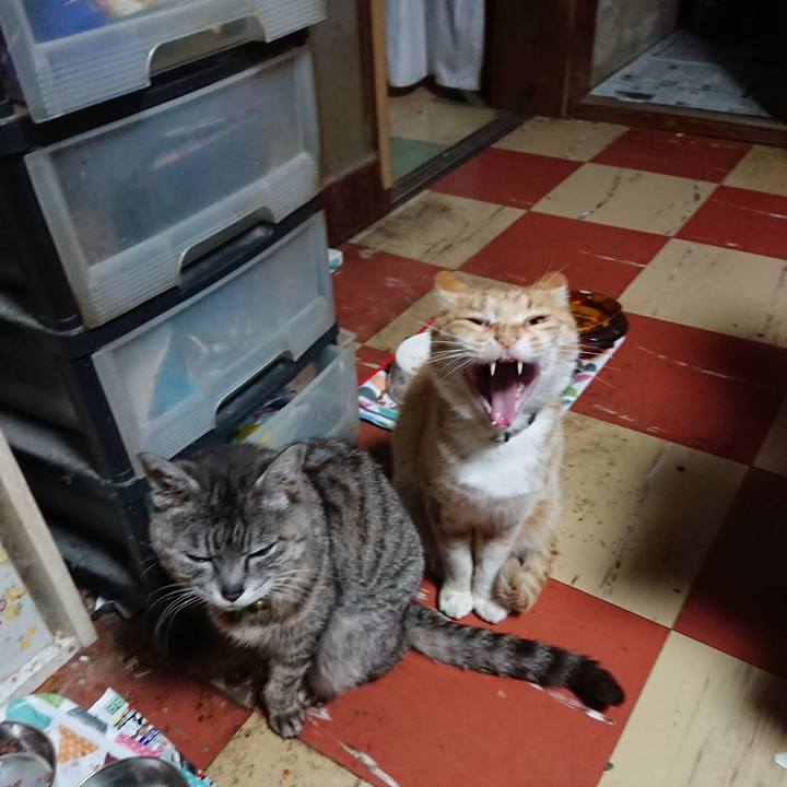 6f7c1099 c1a1 4d50 abe2 7c73ab2fff72 1590264974191