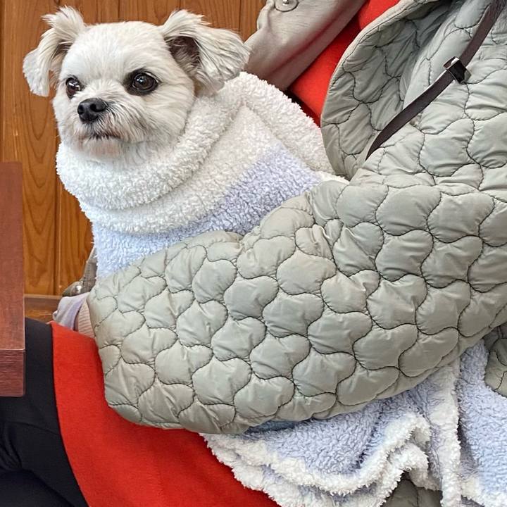 6f7c66b6 8bca 4ec2 8bbf e359c42a833c 1646056402887